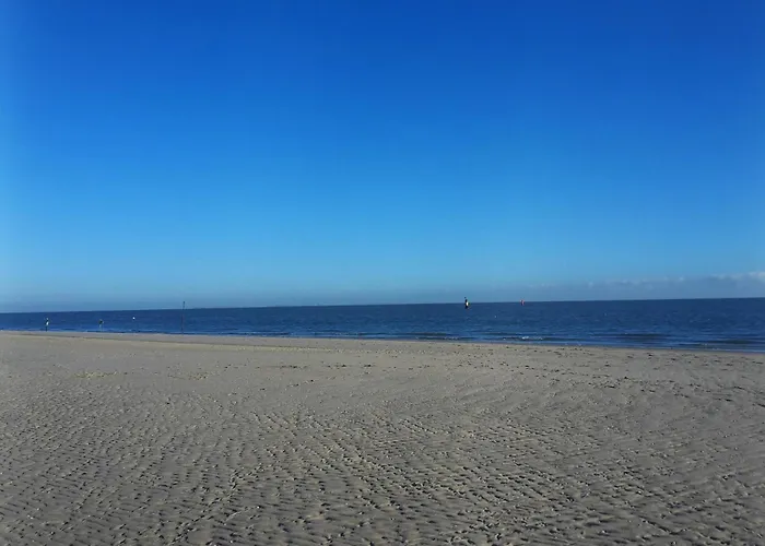 Private Logies Texel Woodart