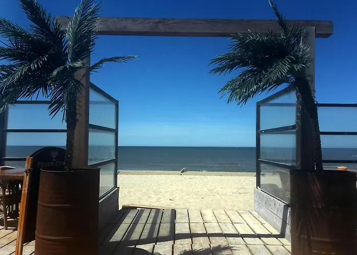 Private Logies Texel Woodart