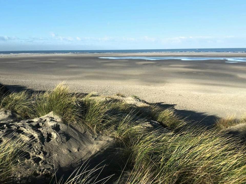 Private Logies Texel Woodart *