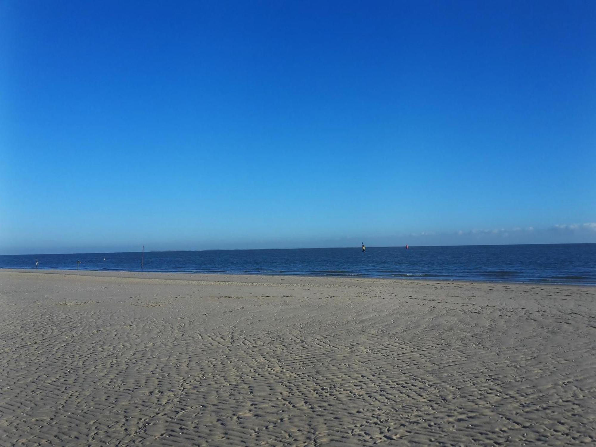 Private Logies Texel Woodart *