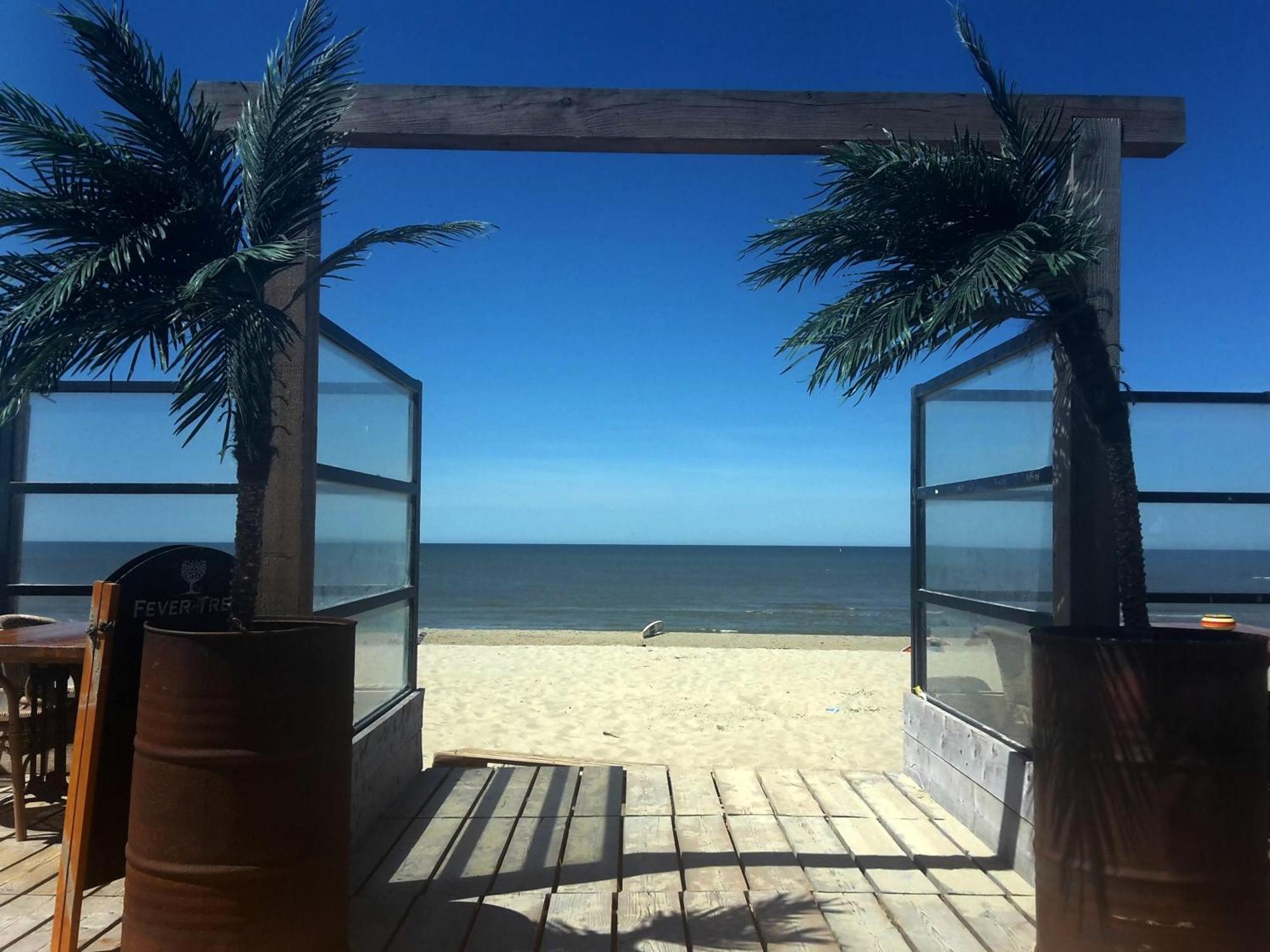 Private Logies Texel Woodart
